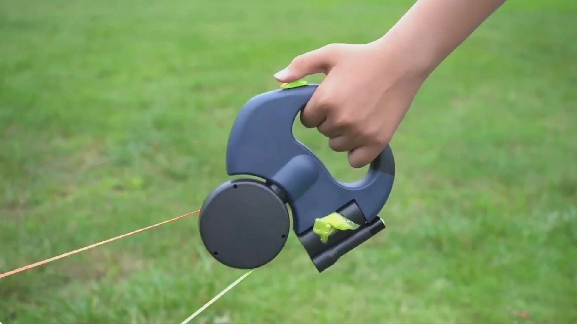 PawTangle Pro